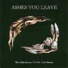 Ashes You Leave: The Inheritance of Sin And Shame