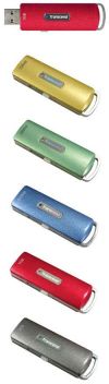 (TS2GJF110) Флэш-драйв 2ГБ TRANSCEND USB2.0 Jet Flash 110X Retail (серый)