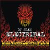 DJ Slam: Electribal