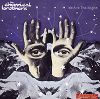 The Chemical Brothers: We Are The Night