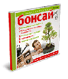 Бонсай: энциклопедия