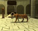 Fort Boyard Твоя игра