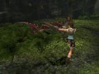 PS2  Lara Croft Tomb Raider: Anniversary