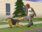 PS2  The Sims 2 Pets