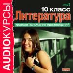 Аудиокурсы. Литература 10 класс. Краткое изложение произведений