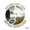 Звуки природы. Здоровый сон у моря mp3