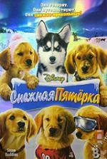 Снежная пятерка