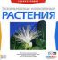 Экзотические комнатные растения 2cd